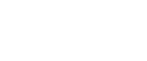 NB Démoussage couvreur Besançon – logo pied de page